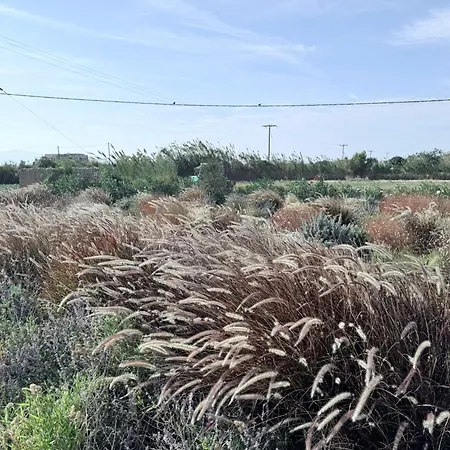 Finoe 4 Bdr With Private Pool Vila *